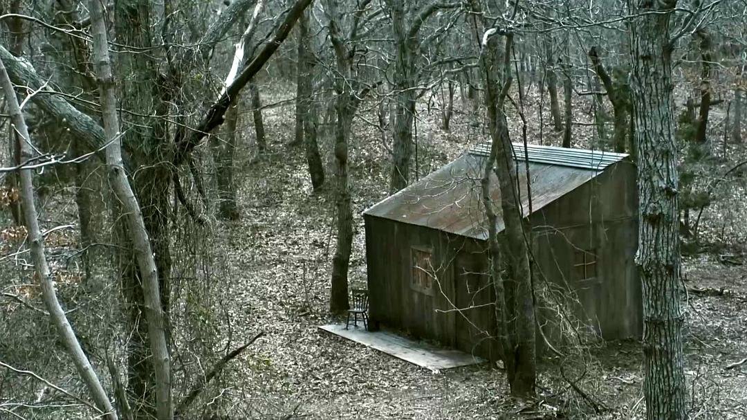 枯树林中有一座小型木屋和一处低矮建筑